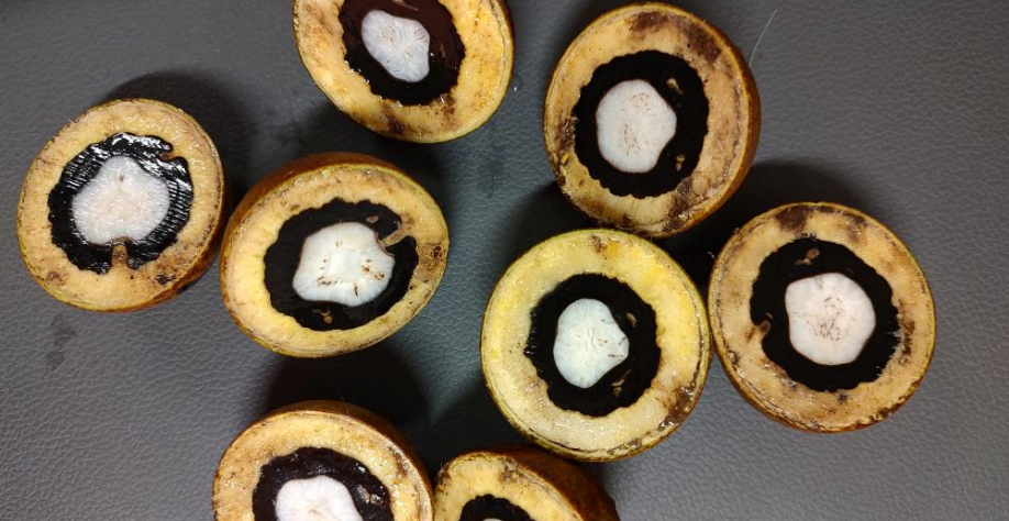 Foto: Secretaria de Agricultura e Abastecimento de São Paulo (SAA)