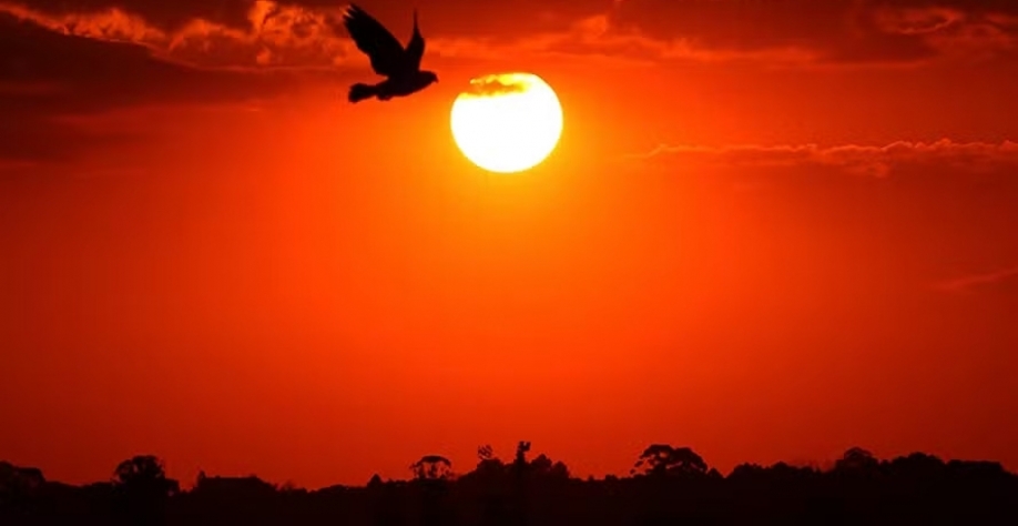 Calor extremo e estiagem que afetam o Sul devem se espalhar para outras regiões do Brasil — Foto: José Fernando Ogura/AEN