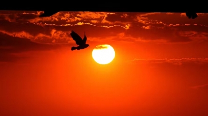 Onda de calor que atinge o Sul vai se espalhar em março; veja Estados que podem ser impactados