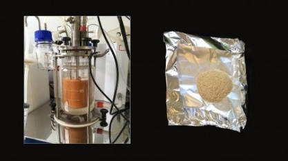 Antimicrobiano natural, a quitosana tem potencial de substituir o ácido sulfúrico na produção de etanol
