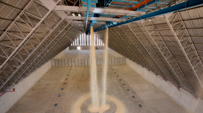 Com exportações 35% menores em janeiro, açúcar registra nova baixa nas bolsas internacionais