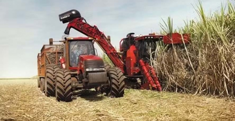 Fábio Venturelli: “Todo mundo conta com o Brasil produzindo mais açúcar” — Foto: Globo Rural