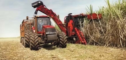 São Martinho investirá menos na próxima safra