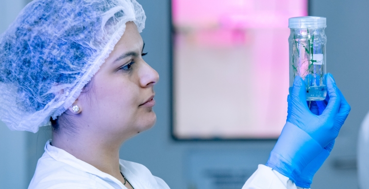 O CTC é patrocinador do 13º Cana Substantivo Feminino