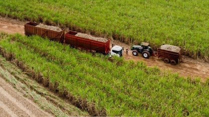 Em nota, Orplana expressa preocupação com tarifas recíprocas dos EUA para o etanol brasileiro