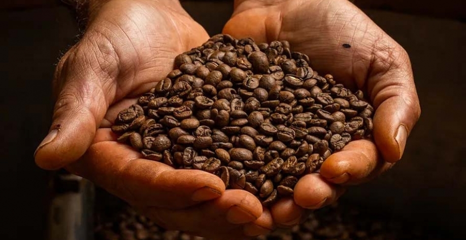 Novos recordes de preço do café não estão descartados — Foto: Wenderson Araujo/CNA