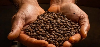 Café e açúcar abrem o dia em alta na bolsa de Nova York