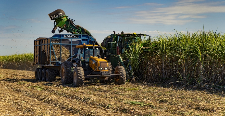 Divulgação Jalles Machado