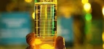 Após questionamento de Lula, setor nega que biocombustíveis afetem preço da comida