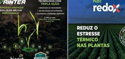 Bionat e da Kimberlit apresentam suas tecnologias no Show Tecnológico de Verão