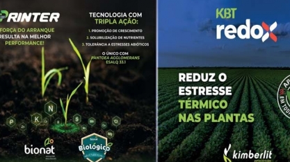 Bionat e da Kimberlit apresentam suas tecnologias no Show Tecnológico de Verão