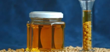 Ministro espera retomada da mistura do biodiesel em 60 dias