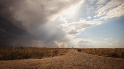 Ventania do Norte ao Sul leva temporais, mas não ameniza calorão; veja previsão para hoje