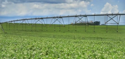 Banco do Brasil vai regularizar R$ 4 bi no ‘Desenrola Rural’