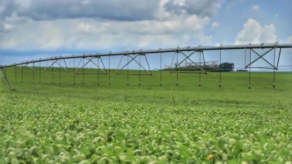 Banco do Brasil vai regularizar R$ 4 bi no ‘Desenrola Rural’