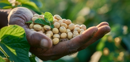 Supersafra de soja expõe gargalo na infraestrutura agrícola brasileira