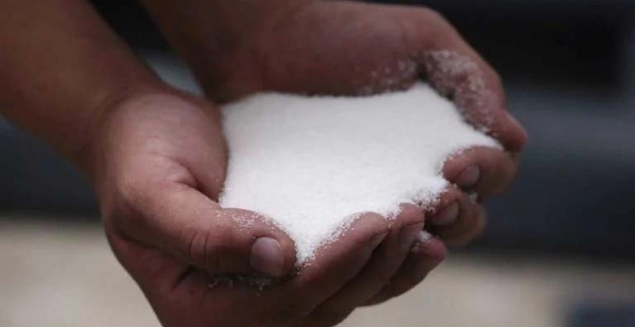 Produção de cana na próxima temporada deve crescer para 105 milhões de toneladas métricas. Foto: Reuters.