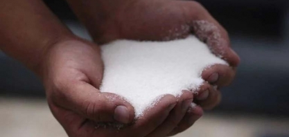 Produção de Açúcar da Tailândia Estimada em Máxima de 7 Anos