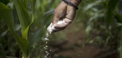 Preços dos fertilizantes sobem em janeiro