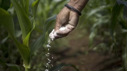 Preços dos fertilizantes sobem em janeiro