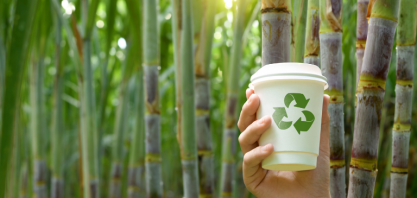 Vidro, papel e bioplástico: conheça produtos que podem ser feitos com cana-de-açúcar 