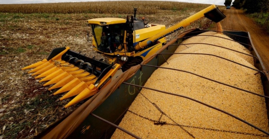 Foto: REUTERS/Rodolfo Buhrer