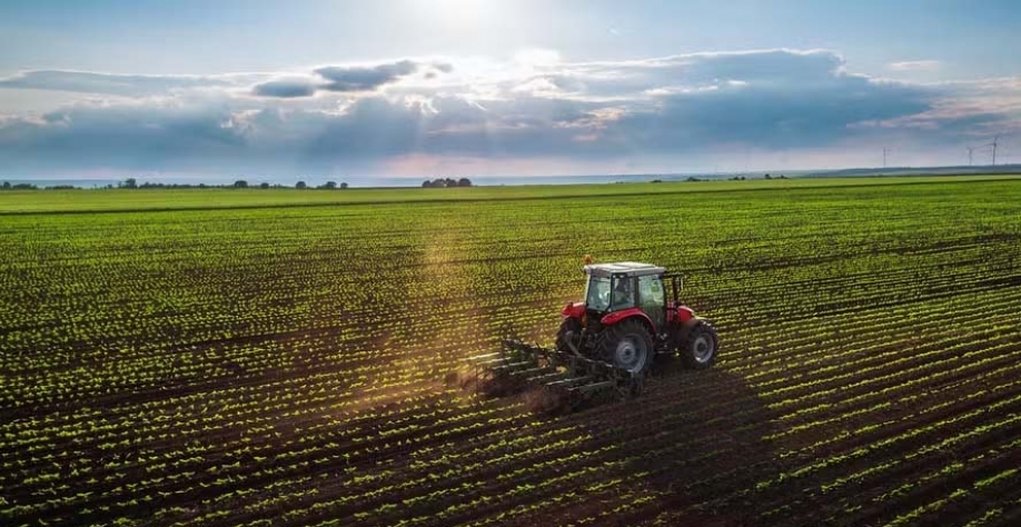 Para Roberto França, taxa de juros absorve parte de ganhos com a safra — Foto: Getty Images