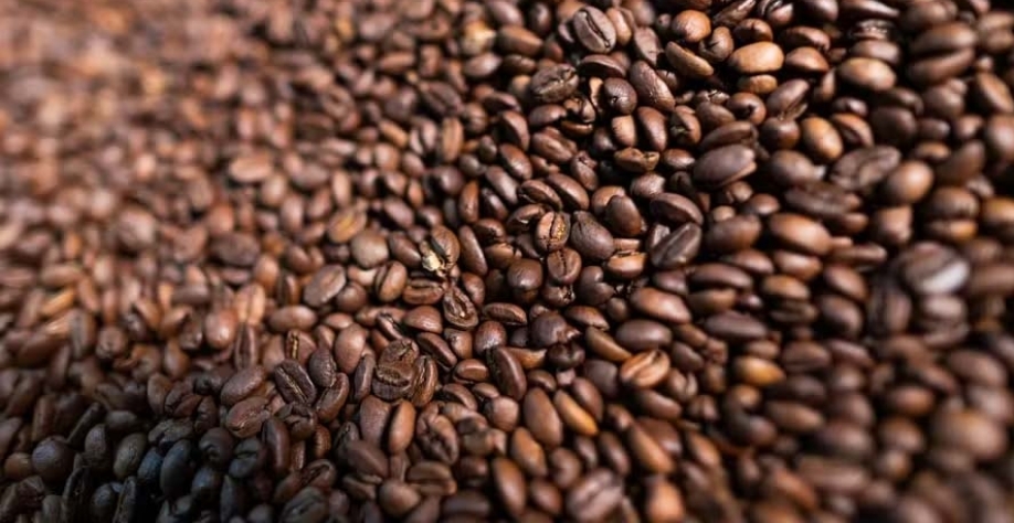 A queda do café na terça-feira foi motivada pela realização de lucros por parte dos investidores — Foto: Wenderson Araújo/CNA