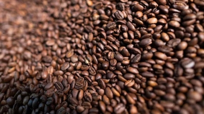 Café volta a subir na bolsa de NY; cacau, açúcar e algodão também operam em alta