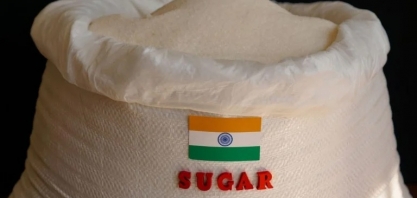 Rali do preço do açúcar bruto deve ter vida curta conforme oferta melhora
