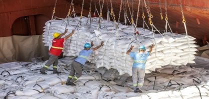 Exportação de açúcar em 2024 foi recorde, mas 2025 não deve repetir o feito; entenda