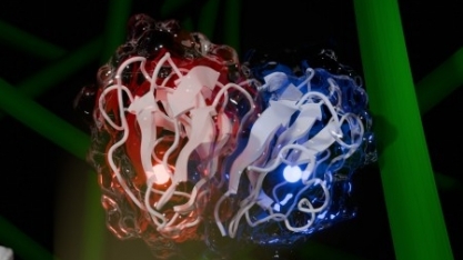 Nova enzima capaz de quebrar a celulose deverá revolucionar a produção de biocombustíveis