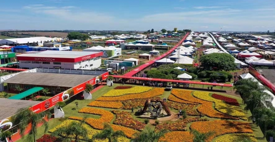 Evento tem acesso gratuito e segue até a próxima sexta-feira (14/2) — Foto: Gabriel Rosa/AEN
