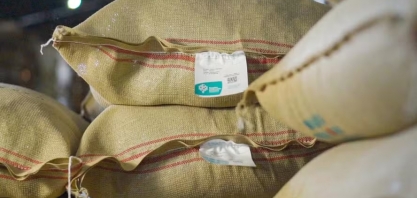 Café e cacau têm forte alta em Nova York; açúcar e algodão também sobem