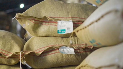 Café e cacau têm forte alta em Nova York; açúcar e algodão também sobem