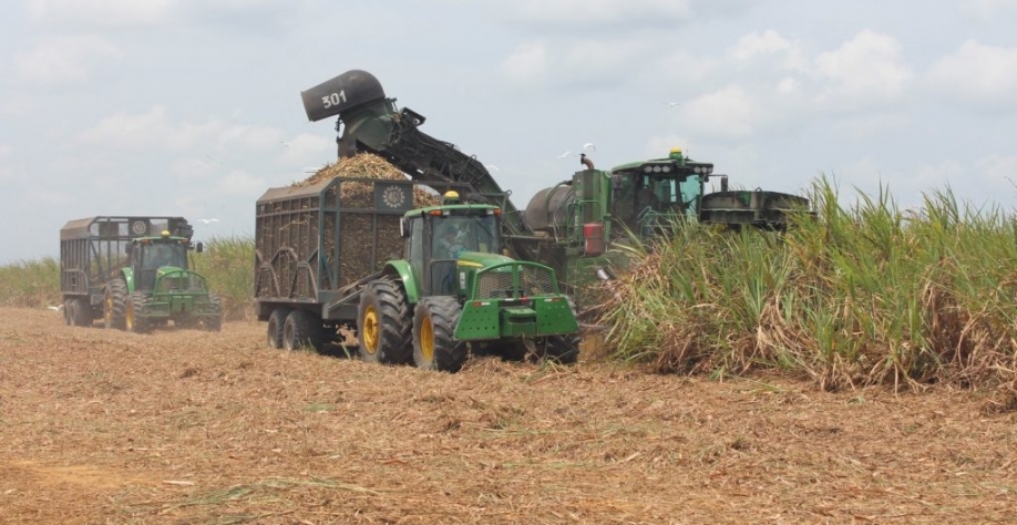 Máquinas agrícolas da Miriri. Créditos: Aquivo Sindalcool