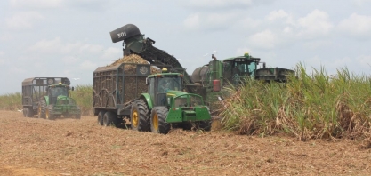 Usina Miriri encerra safra 2024/2025 com recorde