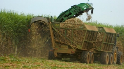 Apesar do superávit de US$ 3 bi, agro paulista recua 25% em relação ao ano passado