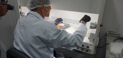 Produção de fungos e bactérias por biofábrica ajuda na produtividade do canavial