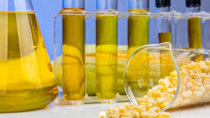Etanol: adoção do E30 deve aumentar demanda pelo anidro em 16,2%, estima Bioind MT