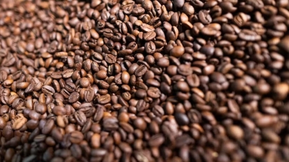 Café e cacau abrem o dia em queda em Nova York; açúcar e algodão também recuam