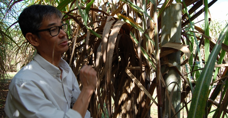  O que esperar de um homem que fala com a cana-de-açúcar: respeito e valorização das mulheres. Esse é Mauro Xavier