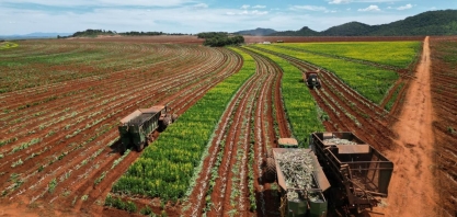 Safra 2024 da Rubi S.A. Uruaçu se destacou por inovação e eficiência