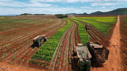 Safra 2024 da Rubi S.A. Uruaçu se destacou por inovação e eficiência