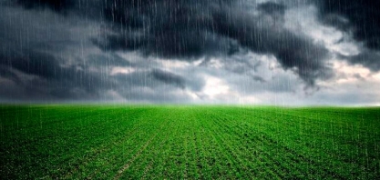 Previsão de chuvas no Brasil derrubam cotações do açúcar