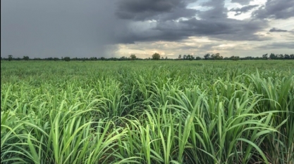 Perspectivas climáticas seguem favoráveis para março e abril atesta boletim sobre previsão do tempo divulgado pela Asplan
