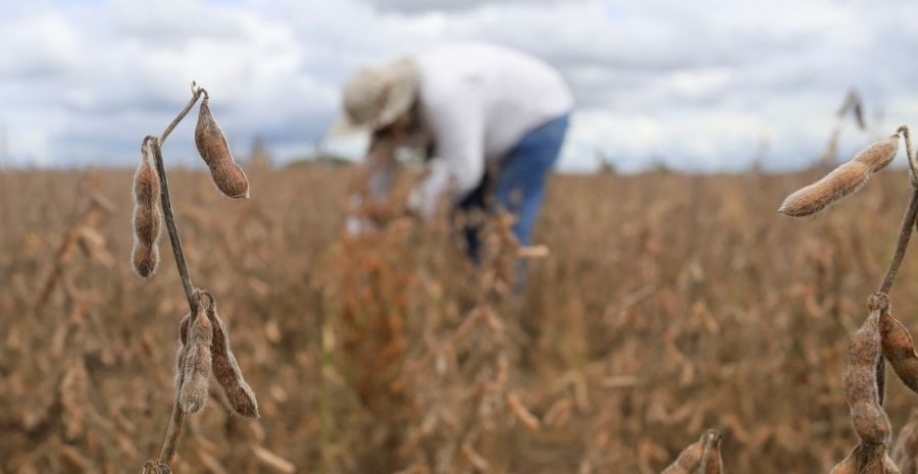 Trabalhador em lavoura de soja REUTERS/Ipa Ibanez