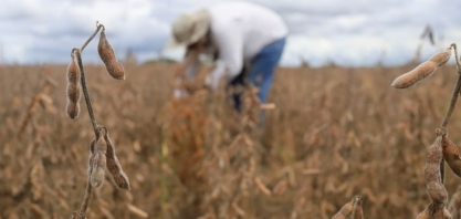 Biodiesel tem menor preço em quase 5 meses no Brasil com pressão do mercado de óleo de soja