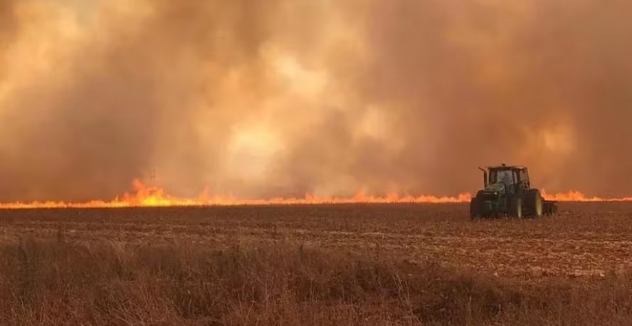 O ano de 2024 foi marcado pela ocorrência de incêndios em mais de 440 hectares de cana-de-açúcar — Foto: Secretaria de Agricultura de SP