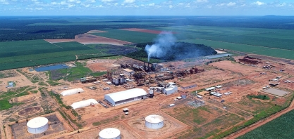 Bevap se prepara para safra 2025/26 com meta de recorde na produção